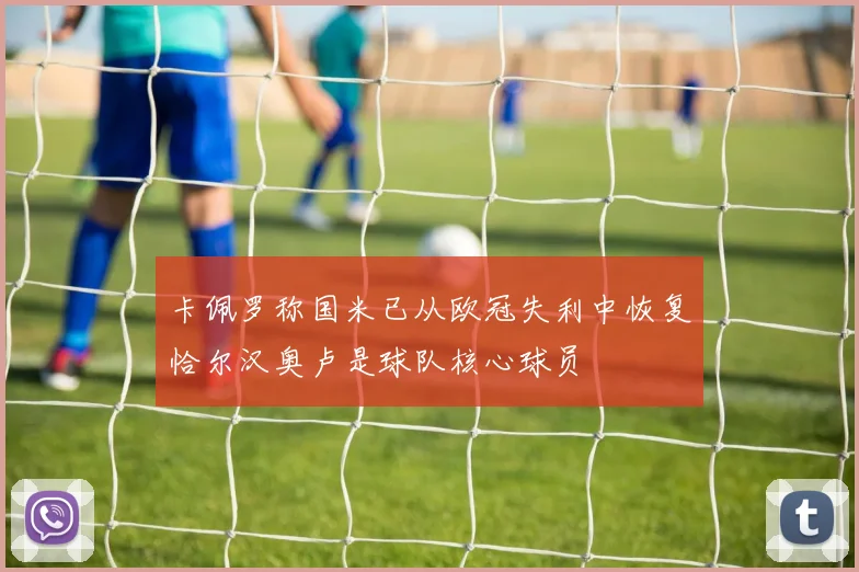 卡佩罗称国米已从欧冠失利中恢复恰尔汉奥卢是球队核心球员
